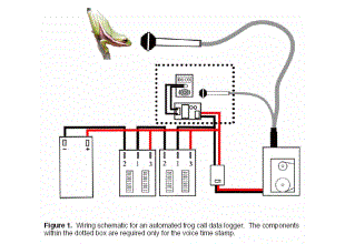 remote field recorders automated frog call data loggers