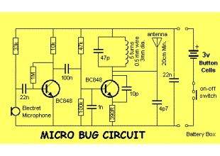 MICRO FM Bug