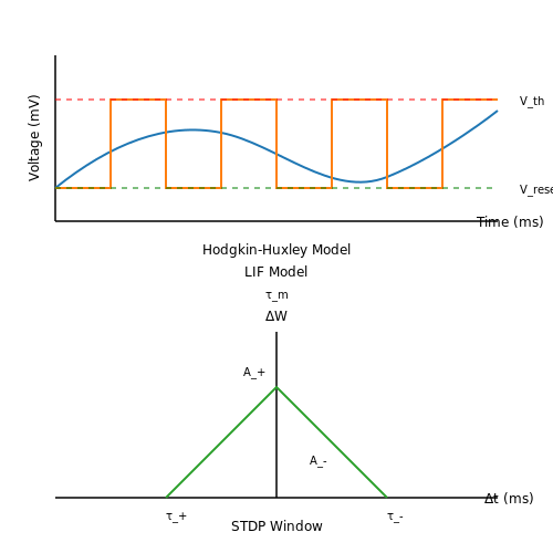 Biological Inspiration and Principles – Neuromorphic AI and Spiking Neural Networks – Tutorial Diagram Biological Inspiration and Principles – Neuromorphic AI and Spiking Neural Networks – Tutorial Diagram