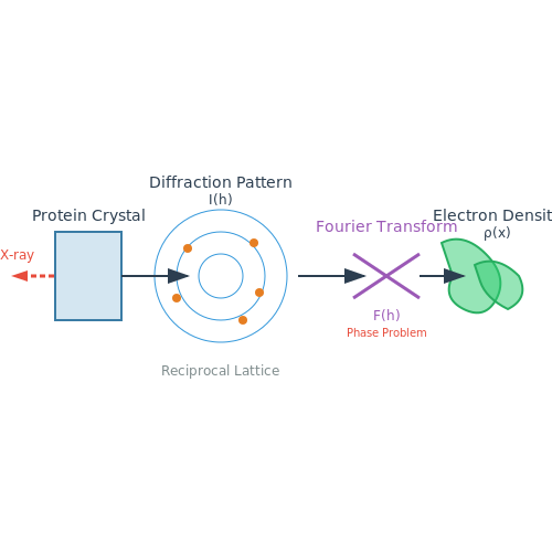 Experimental Methods: X-ray Crystallography and NMR – Protein Folding with AI – Tutorial Diagram Experimental Methods: X-ray Crystallography and NMR – Protein Folding with AI – Tutorial Diagram