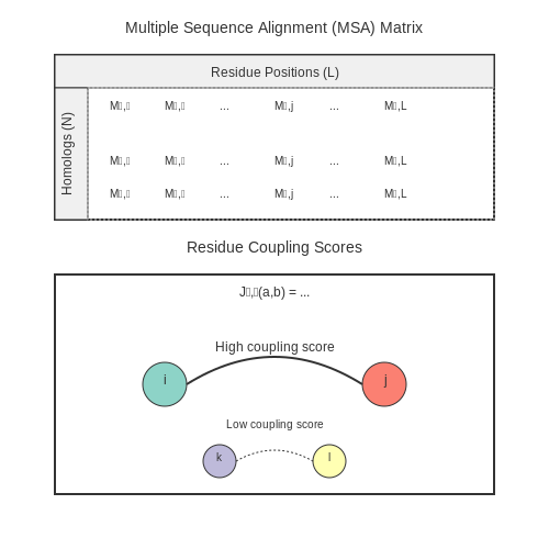 The Role of Multiple Sequence Alignment (MSA) – 3D Protein Structure Prediction with AlphaFold – Tutorial Diagram The Role of Multiple Sequence Alignment (MSA) – 3D Protein Structure Prediction with AlphaFold – Tutorial Diagram