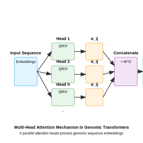 Gene Expression Prediction with Attention Mechanisms – Transformers in Genomics – Tutorial Diagram Gene Expression Prediction with Attention Mechanisms – Transformers in Genomics – Tutorial Diagram