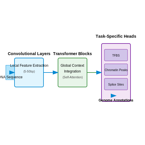 Variant Calling and Genome Annotation – Transformers in Genomics – Tutorial Diagram Variant Calling and Genome Annotation – Transformers in Genomics – Tutorial Diagram