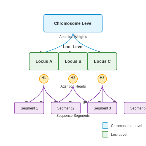 Transfer Learning and Pretraining on Genomic Corpora – Transformers in Genomics – Tutorial Diagram Transfer Learning and Pretraining on Genomic Corpora – Transformers in Genomics – Tutorial Diagram