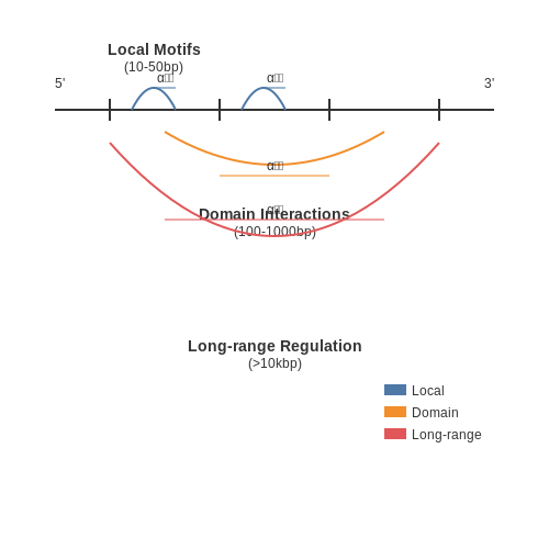 Interpretability of Attention Patterns in Biological Contexts – Transformers in Genomics – Tutorial Diagram Interpretability of Attention Patterns in Biological Contexts – Transformers in Genomics – Tutorial Diagram