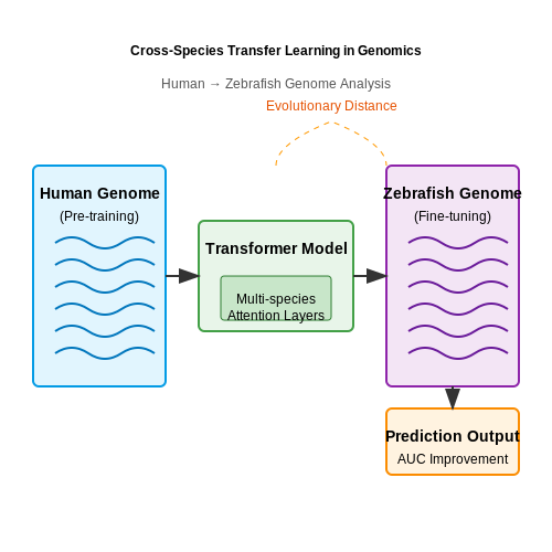 Data Scarcity and Generalization Across Species – Transformers in Genomics – Tutorial Diagram Data Scarcity and Generalization Across Species – Transformers in Genomics – Tutorial Diagram
