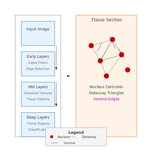 Feature Extraction from Histopathology Images – Cancer Detection Using Histopathology Images – Tutorial Diagram Feature Extraction from Histopathology Images – Cancer Detection Using Histopathology Images – Tutorial Diagram