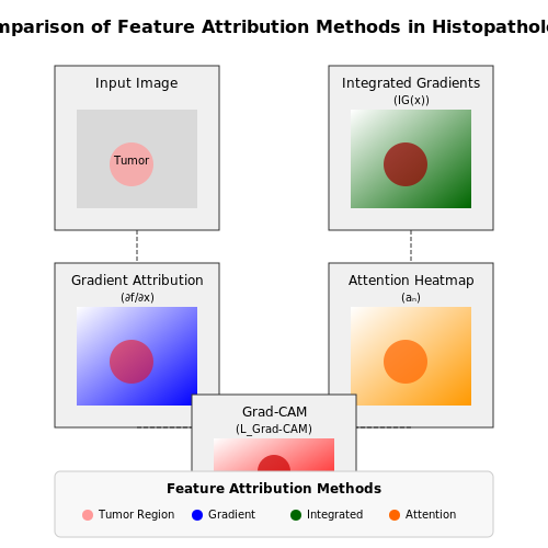 Interpretability and Explainability of AI Models – Cancer Detection Using Histopathology Images – Tutorial Diagram Interpretability and Explainability of AI Models – Cancer Detection Using Histopathology Images – Tutorial Diagram