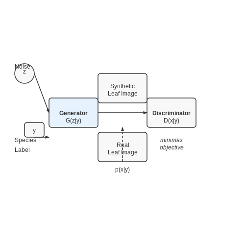 Synthetic Data Generation for Rare Species – Deep Learning for Plant Species Identification – Tutorial Diagram Synthetic Data Generation for Rare Species – Deep Learning for Plant Species Identification – Tutorial Diagram