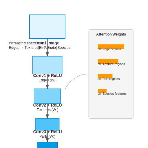 Computer Vision in Bird Identification and Tracking – AI for Bird Migration Pattern Analysis – Tutorial Diagram