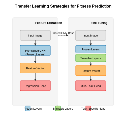 Transfer Learning in Fitness Prediction – Fitness Progress Prediction from Visual Logs – Tutorial Diagram