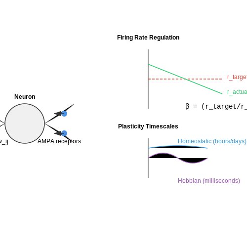 Homeostatic Plasticity Mechanisms – Bio-Inspired Plasticity Mechanisms in Neural Networks – Tutorial Diagram