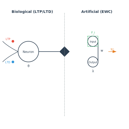 Lifelong Learning and Catastrophic Forgetting Mitigation – Bio-Inspired Plasticity Mechanisms in Neural Networks – Tutorial Diagram