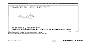 BCF29 – Datasheet Preview