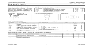 BY329X17 – Datasheet Preview