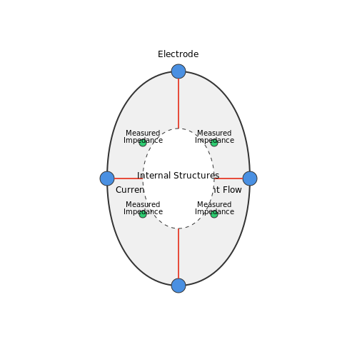 Electrical Impedance Tomography (EIT) – Tutorial Image