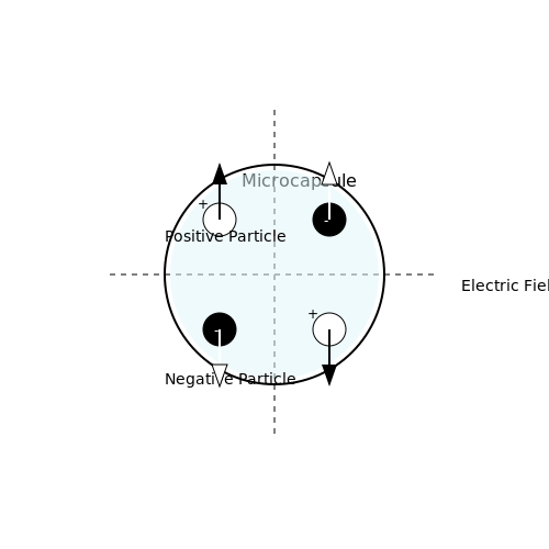 Electronic Paper Display Technologies – Tutorial Image